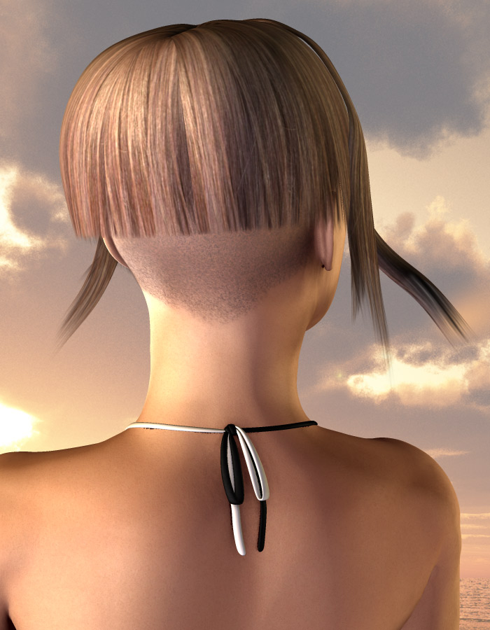 Heet Hair for V4 by: EvilinnocenceRuntimeDNA, 3D Models by Daz 3D