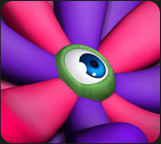 Baby Eye Flower Petals Baby Eye Flower Petals by: EvilinnocenceRuntimeDNA, 3D Models by Daz 3D