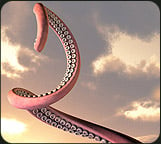 Octopus Tentacle by: EvilinnocenceRuntimeDNA, 3D Models by Daz 3D