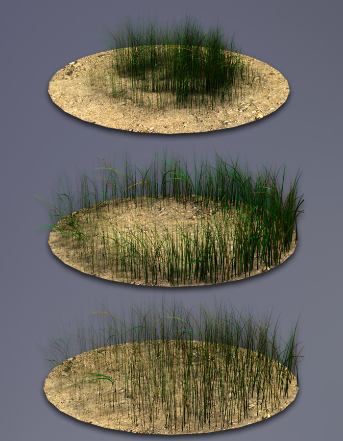 Simple Grass by: EvilinnocenceRuntimeDNA, 3D Models by Daz 3D