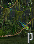 Jungle Vines by: Lourdes, 3D Models by Daz 3D