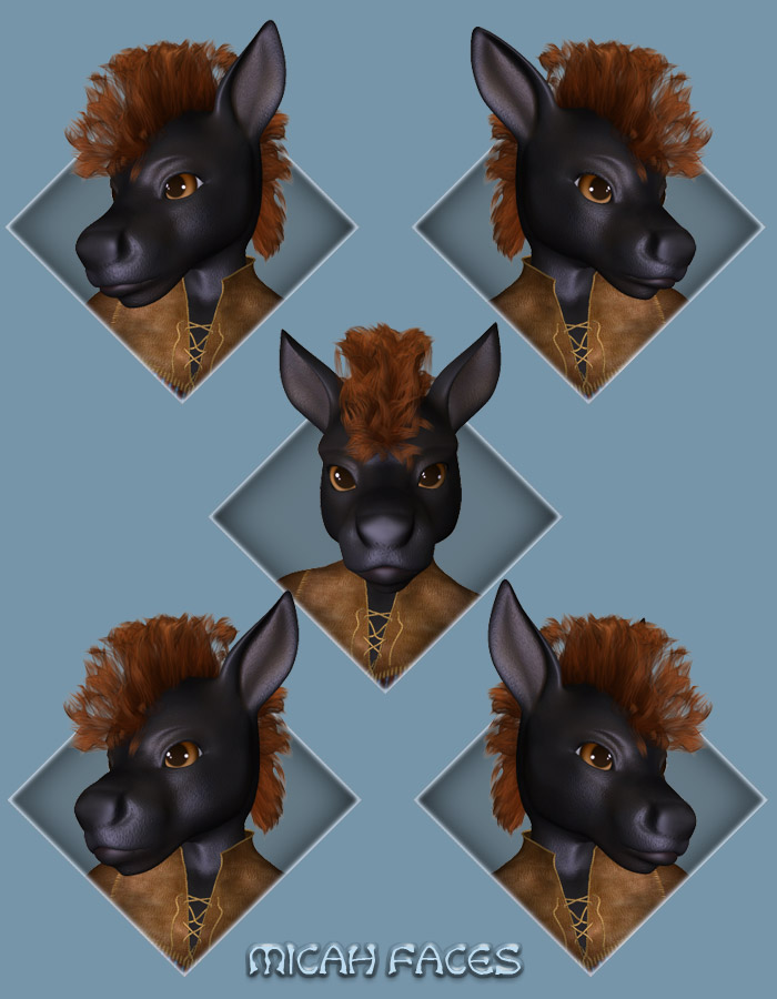 Furries' Faces - Equine Furries' Faces - Equine by: Capsces Digital InkRuntimeDNA, 3D Models by Daz 3D