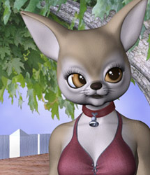 Furries' Furs - Chihuahua by: Lady LittlefoxCapsces Digital InkRuntimeDNA, 3D Models by Daz 3D