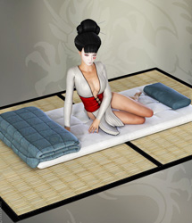 Tatami Bed by: LilflameRuntimeDNA, 3D Models by Daz 3D