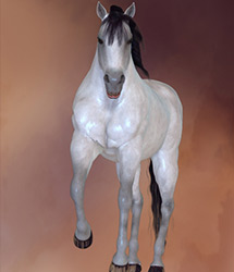 Equus II by: EnsaryRuntimeDNA, 3D Models by Daz 3D