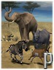 Safari Animals Poses Safari Animals Poses by: Digiport, 3D Models by Daz 3D