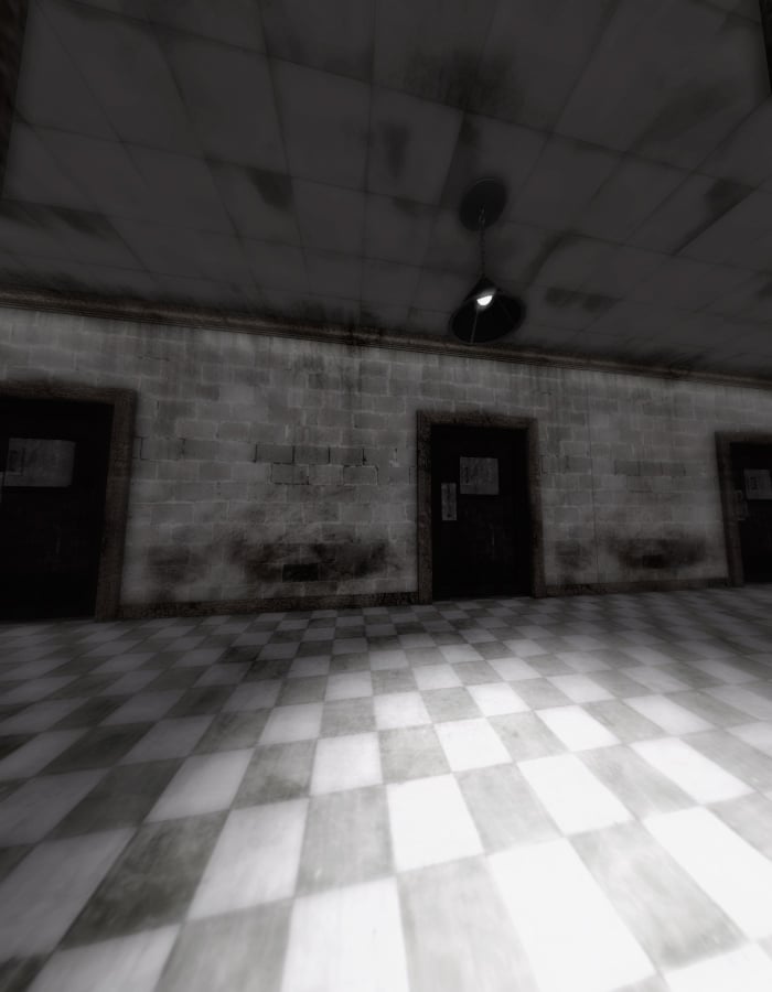 The Asylum: Hallway The Asylum: Hallway by: EvilinnocenceRuntimeDNA, 3D Models by Daz 3D