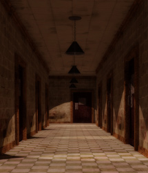 The Asylum: Hallway The Asylum: Hallway by: EvilinnocenceRuntimeDNA, 3D Models by Daz 3D