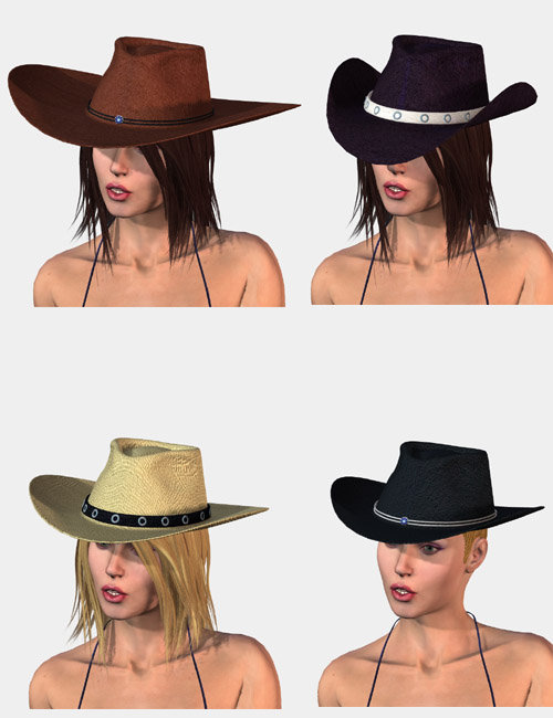 Western Hat with Hair by: Jim Burton, 3D Models by Daz 3D