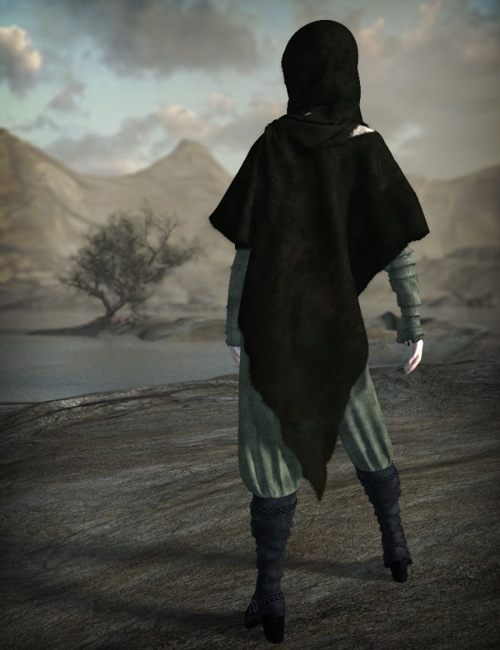 Stormwind Capes for V4 by: eshaRuntimeDNA, 3D Models by Daz 3D