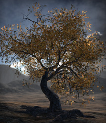 Crooked Trees Crooked Trees by: eshaRuntimeDNA, 3D Models by Daz 3D
