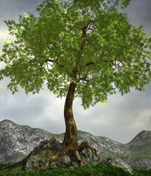 Poseable Forest Trees by: eshaRuntimeDNA, 3D Models by Daz 3D