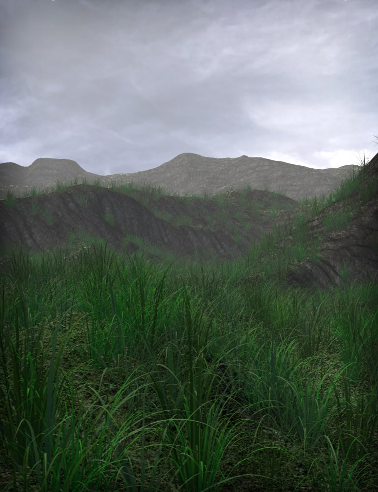 Forest Grass Forest Grass by: eshaRuntimeDNA, 3D Models by Daz 3D