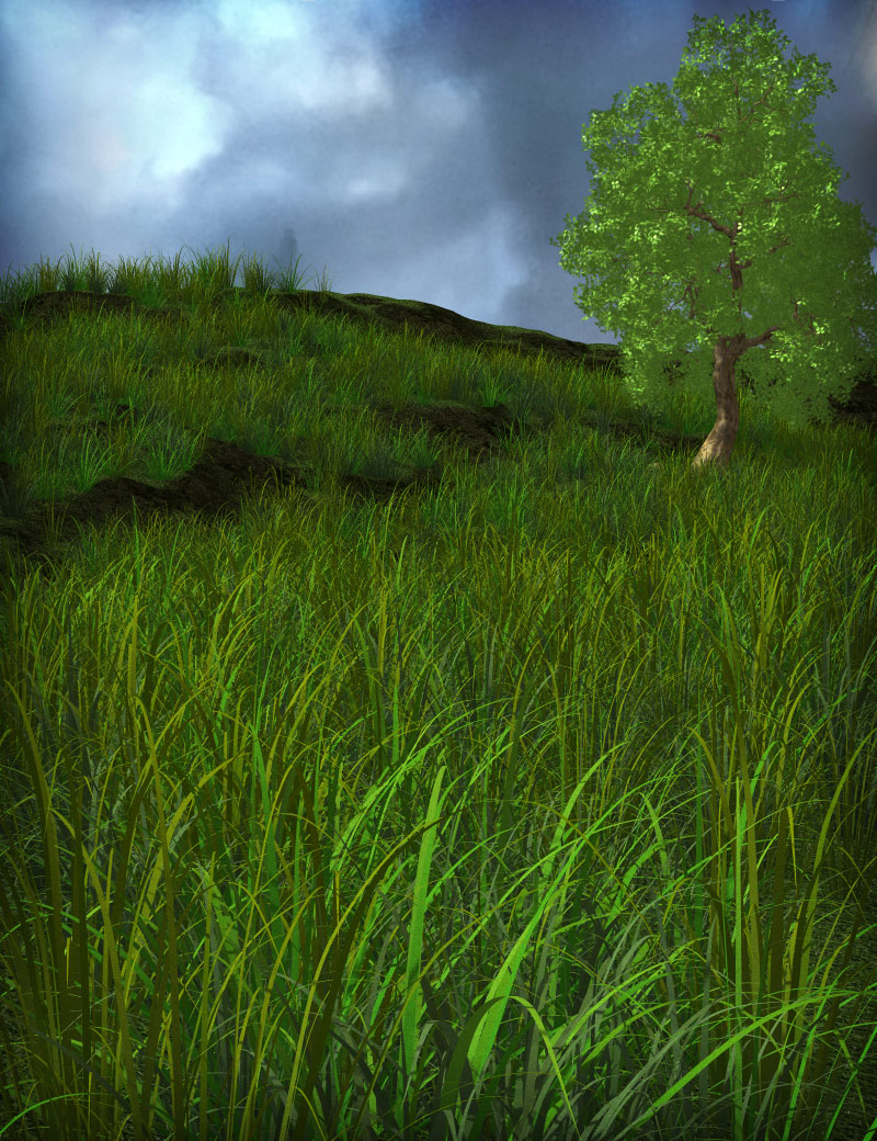 Forest Grass by: eshaRuntimeDNA, 3D Models by Daz 3D