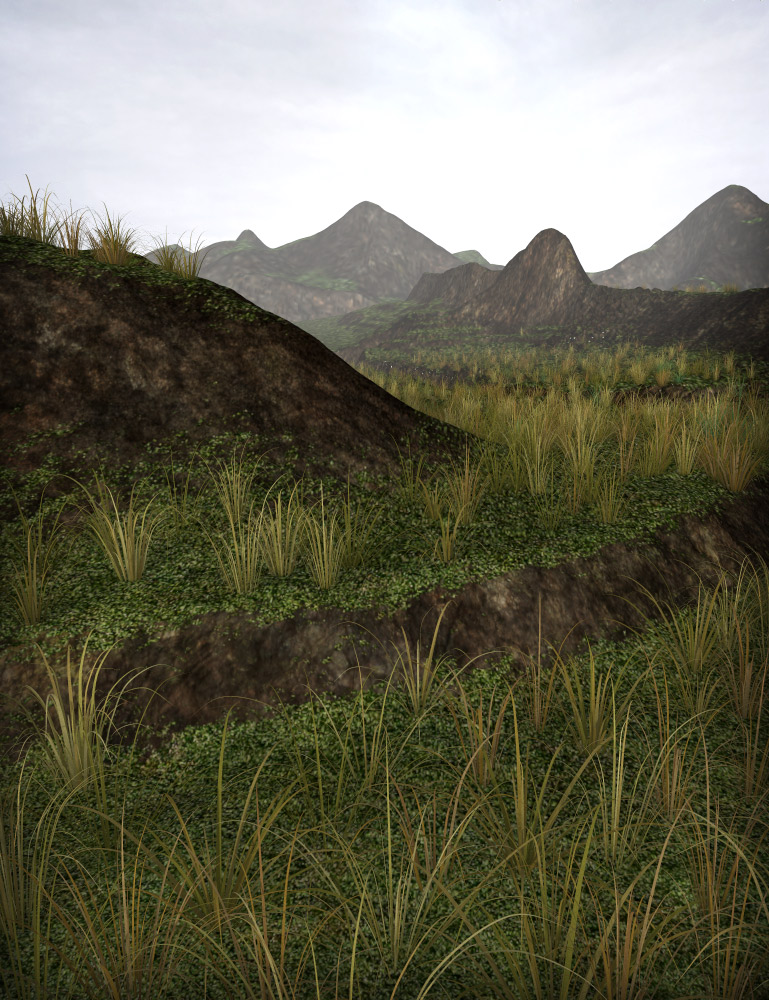 Forest Grass by: eshaRuntimeDNA, 3D Models by Daz 3D