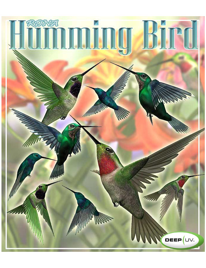 RDNA Humming Bird by: RuntimeDNATraveler, 3D Models by Daz 3D