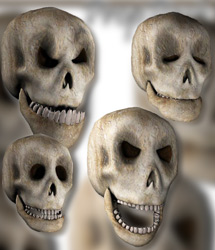 Props Pack - Skully by: RuntimeDNATraveler, 3D Models by Daz 3D