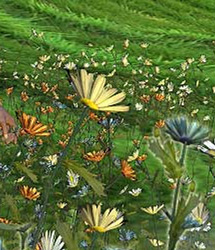 RDNA Grasslands Volume 2 - Wild Daisy RDNA Grasslands Volume 2 - Wild Daisy by: RuntimeDNATraveler, 3D Models by Daz 3D