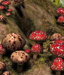 RDNA Mushroomz SmClusters and Rings 2 by: RuntimeDNATraveler, 3D Models by Daz 3D