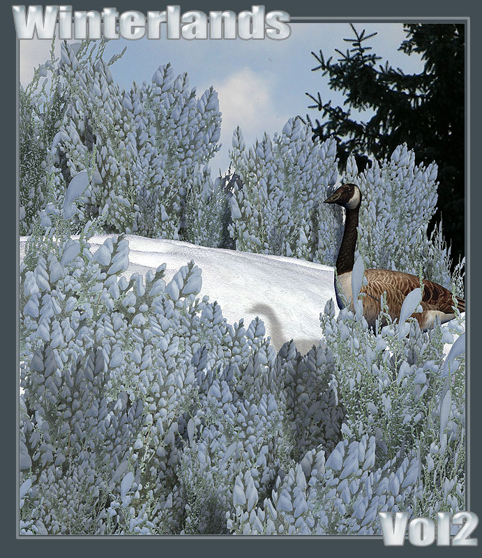 RDNA WinterLands Vol 2 RDNA WinterLands Vol 2 by: TravelerRuntimeDNA, 3D Models by Daz 3D