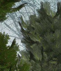 RDNA Winter Foliage - Evergreens 2 by: TravelerRuntimeDNA, 3D Models by Daz 3D