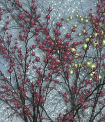 RDNA Winter Foliage - Berry Trees 2 by: TravelerRuntimeDNA, 3D Models by Daz 3D