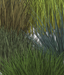 RDNA Foliage - Grass Clumps 1 by: TravelerRuntimeDNA, 3D Models by Daz 3D