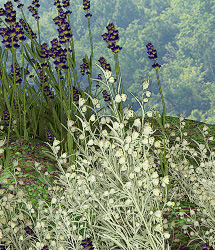 RDNA Grasslands IV Vol 2 RDNA Grasslands IV Vol 2 by: TravelerRuntimeDNA, 3D Models by Daz 3D