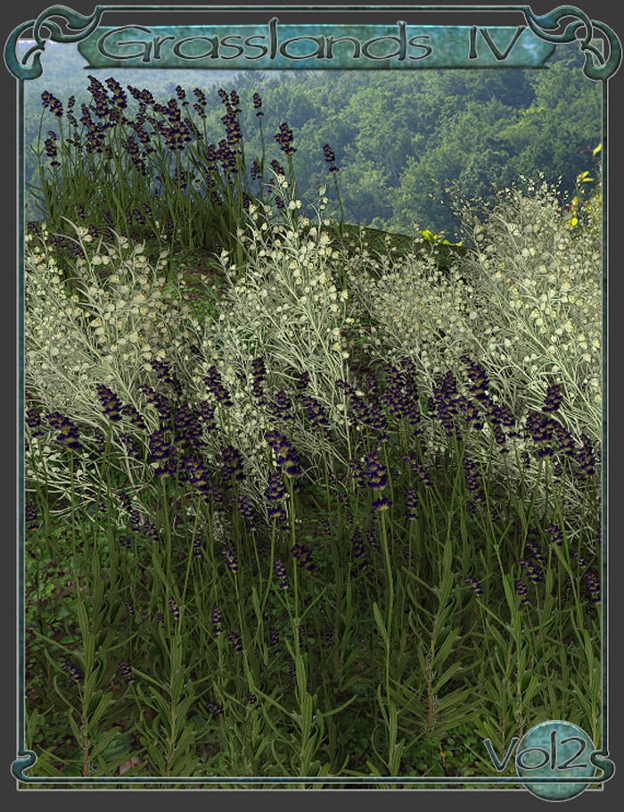 RDNA Grasslands IV Vol 2 RDNA Grasslands IV Vol 2 by: TravelerRuntimeDNA, 3D Models by Daz 3D