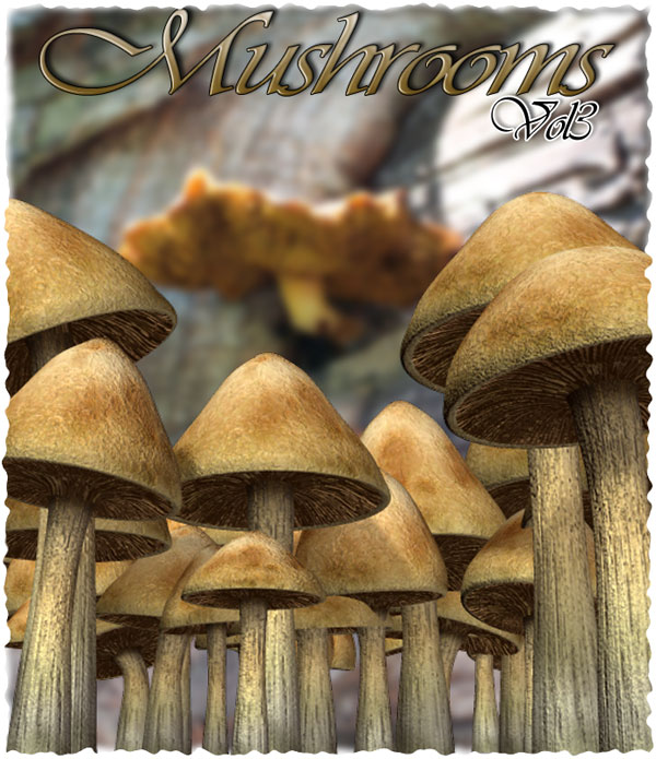 RDNA Mushrooms Vol 3 by: RuntimeDNATraveler, 3D Models by Daz 3D