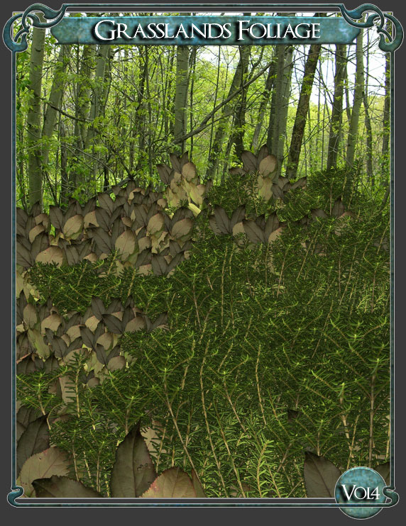 Grasslands Foliage - Volume 4 Grasslands Foliage - Volume 4 by: RuntimeDNATraveler, 3D Models by Daz 3D