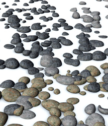 Ground Litter Series - Pebbles Vol 2 by: RuntimeDNATraveler, 3D Models by Daz 3D