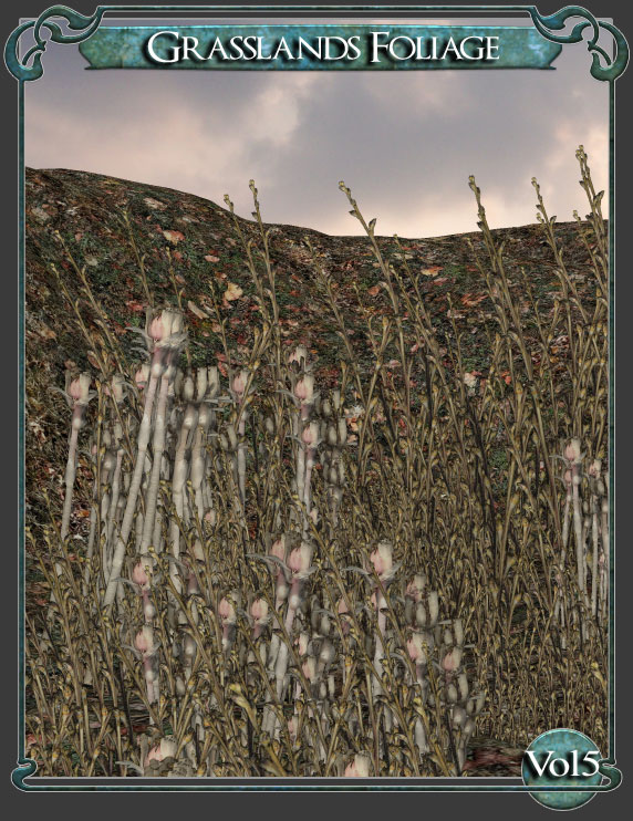 Grasslands Foliage - Volume 5 by: RuntimeDNATraveler, 3D Models by Daz 3D