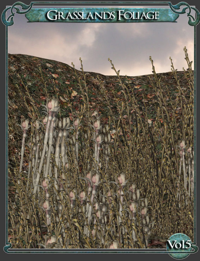 Grasslands Foliage - Volume 5 by: RuntimeDNATraveler, 3D Models by Daz 3D