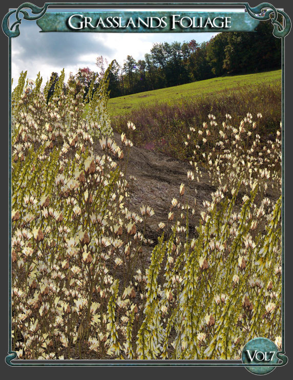 Grasslands Foliage - Volume 7 Grasslands Foliage - Volume 7 by: RuntimeDNATraveler, 3D Models by Daz 3D
