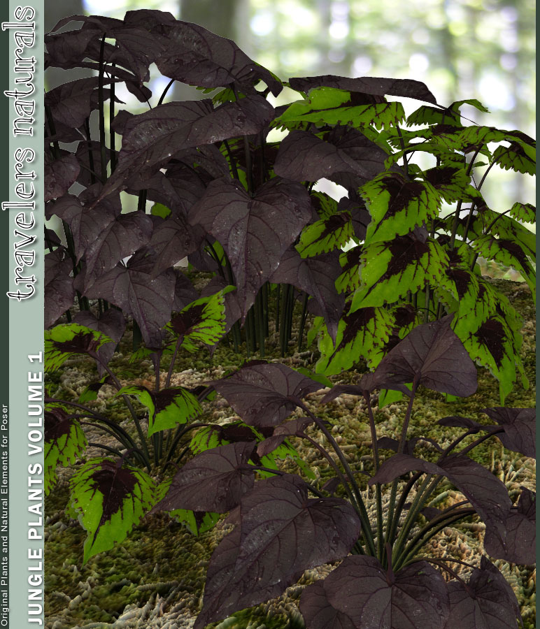 Traveler's Naturals - Jungle Plants Vol 1 by: TravelerRuntimeDNA, 3D Models by Daz 3D