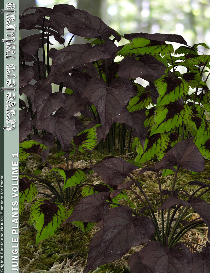 Traveler's Naturals - Jungle Plants Vol 1 by: TravelerRuntimeDNA, 3D Models by Daz 3D