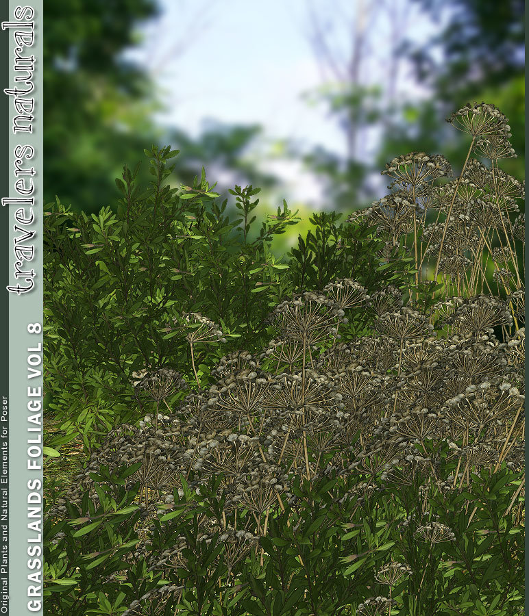Traveler's Naturals - Grasslands Foliage Vol 8 Traveler's Naturals - Grasslands Foliage Vol 8 by: TravelerRuntimeDNA, 3D Models by Daz 3D