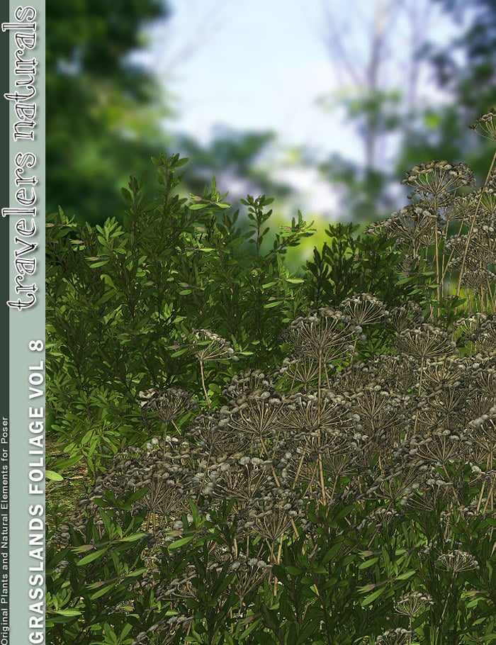 Traveler's Naturals - Grasslands Foliage Vol 8 Traveler's Naturals - Grasslands Foliage Vol 8 by: TravelerRuntimeDNA, 3D Models by Daz 3D