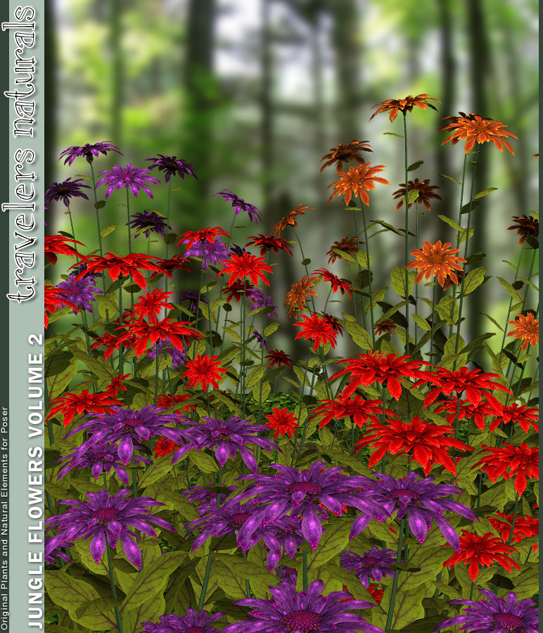 Traveler's Naturals - Jungle Flowers Vol 2 by: TravelerRuntimeDNA, 3D Models by Daz 3D