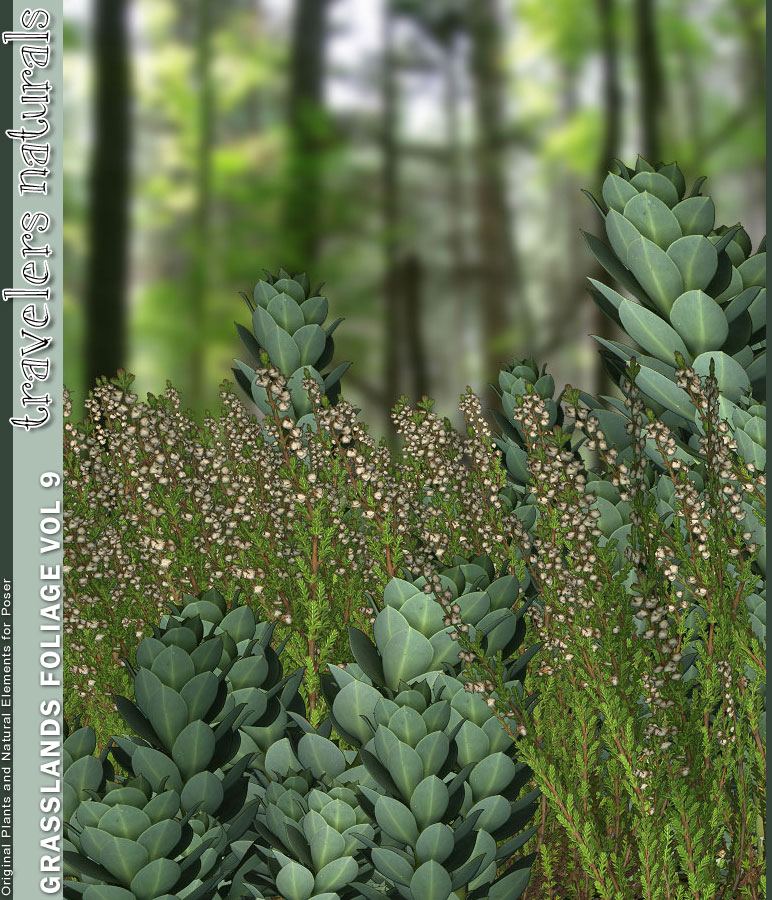 Traveler's Naturals - Grasslands Foliage Vol 9 Traveler's Naturals - Grasslands Foliage Vol 9 by: TravelerRuntimeDNA, 3D Models by Daz 3D