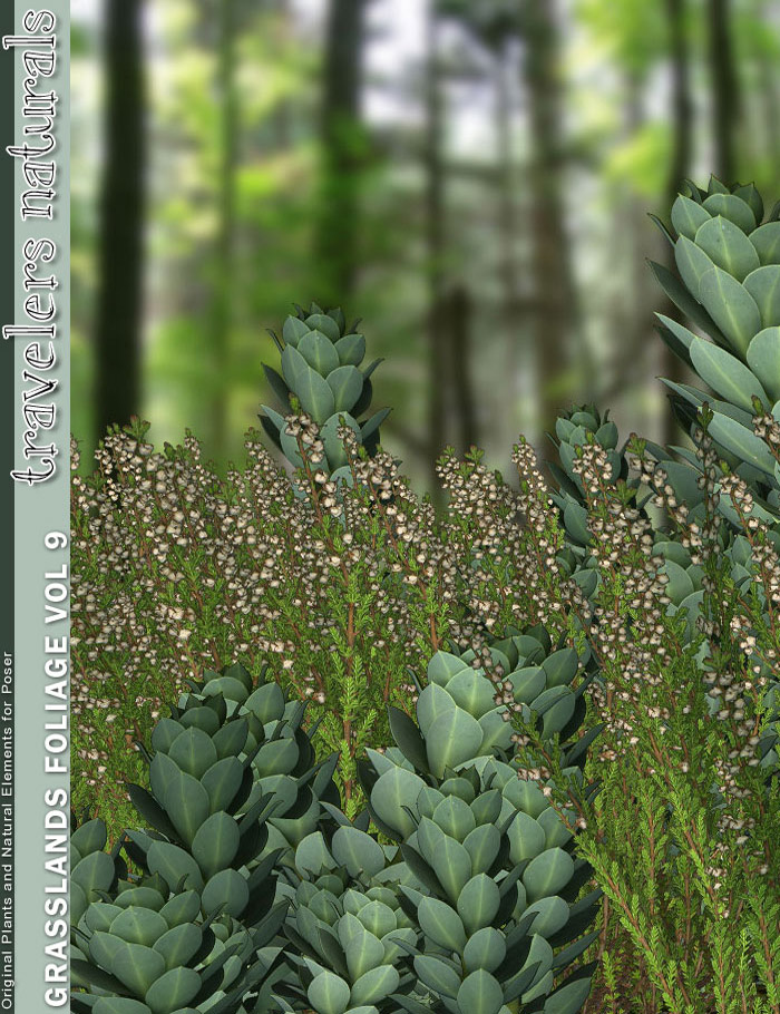 Traveler's Naturals - Grasslands Foliage Vol 9 by: TravelerRuntimeDNA, 3D Models by Daz 3D