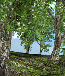 Traveler's Naturals - Real Deal Trees Vol 1 by: TravelerRuntimeDNA, 3D Models by Daz 3D
