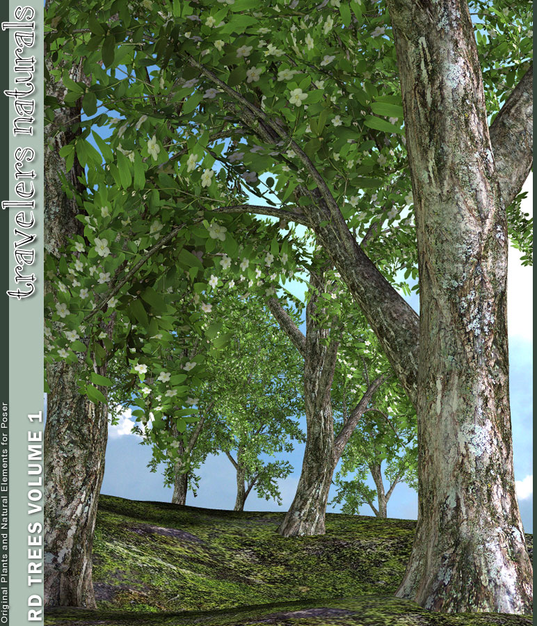 Traveler's Naturals - Real Deal Trees Vol 1 Traveler's Naturals - Real Deal Trees Vol 1 by: TravelerRuntimeDNA, 3D Models by Daz 3D