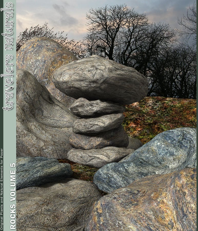 Traveler's Naturals - Rocks Volume 5 by: TravelerRuntimeDNA, 3D Models by Daz 3D