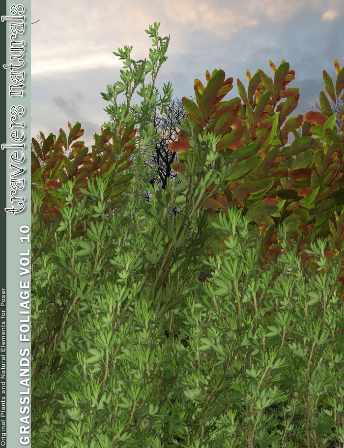 Traveler's Naturals - Grasslands Foliage Vol 10 by: TravelerRuntimeDNA, 3D Models by Daz 3D