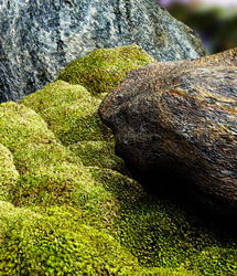 Traveler's Naturals - Moss Clumps Vol 1 by: TravelerRuntimeDNA, 3D Models by Daz 3D