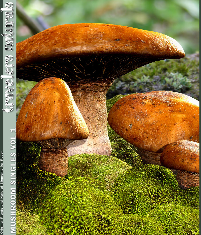 Traveler's Naturals - Mushroom Singles Vol 1 by: RuntimeDNATraveler, 3D Models by Daz 3D