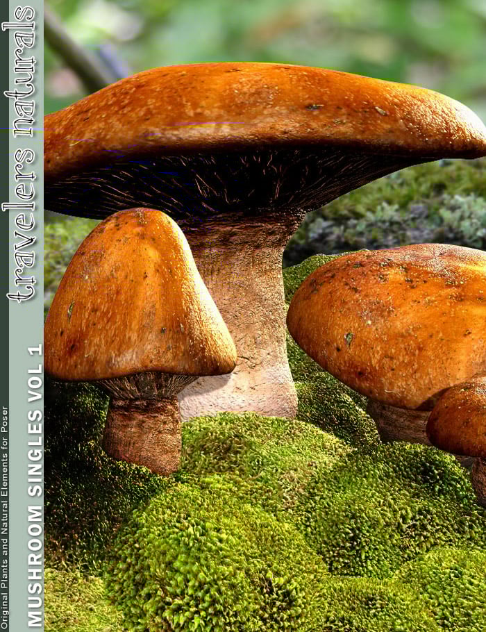 Traveler's Naturals - Mushroom Singles Vol 1 Traveler's Naturals - Mushroom Singles Vol 1 by: RuntimeDNATraveler, 3D Models by Daz 3D