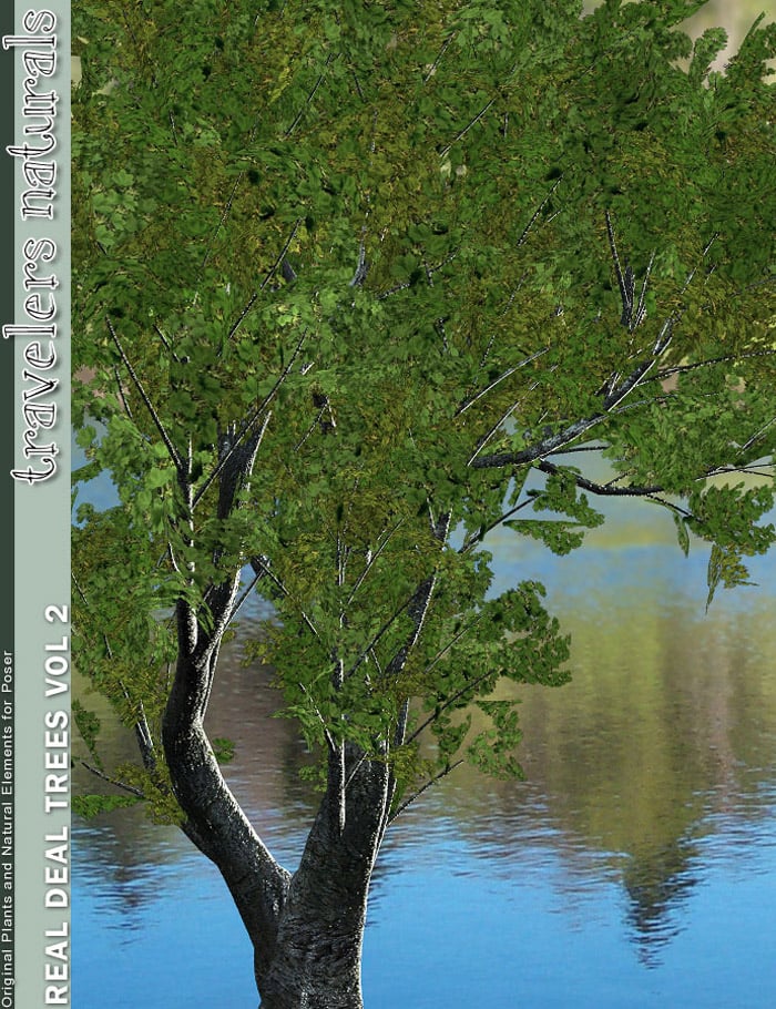 Traveler's Naturals - Real Deal Trees Vol 2 Traveler's Naturals - Real Deal Trees Vol 2 by: TravelerRuntimeDNA, 3D Models by Daz 3D